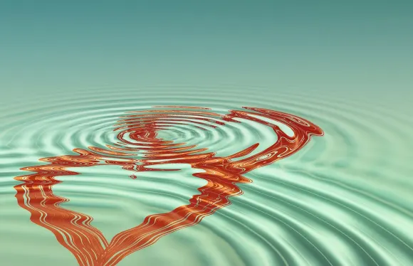 BetCoco Kasino Podrška